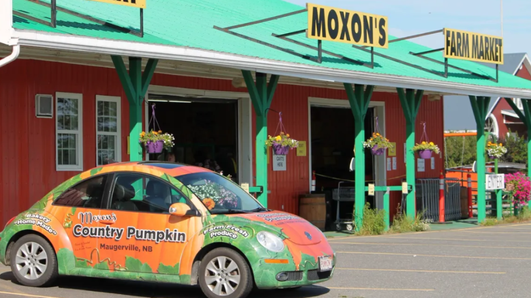 Moxon's Country Pumpkin | Fredericton Capital Region